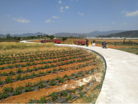 安寧市八街街道辦鳳儀村委會(huì)龍鳳村農(nóng)田機(jī)耕路部分修補(bǔ)建設(shè)工程及龍鳳村道路硬化工程