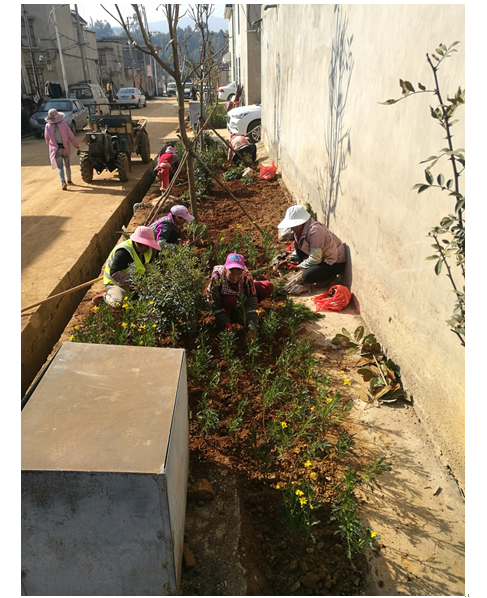 安寧市縣街街道辦縣街村委會梨園村村內(nèi)綠化工程12月工程進度