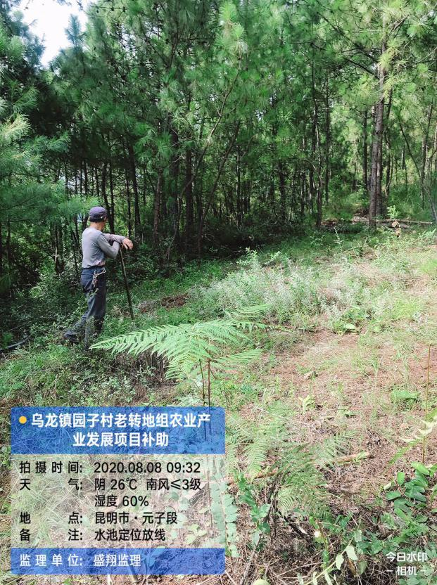 烏龍鎮(zhèn)園子村老轉(zhuǎn)地組農(nóng)業(yè)產(chǎn)業(yè)發(fā)展項(xiàng)目簡報(bào)