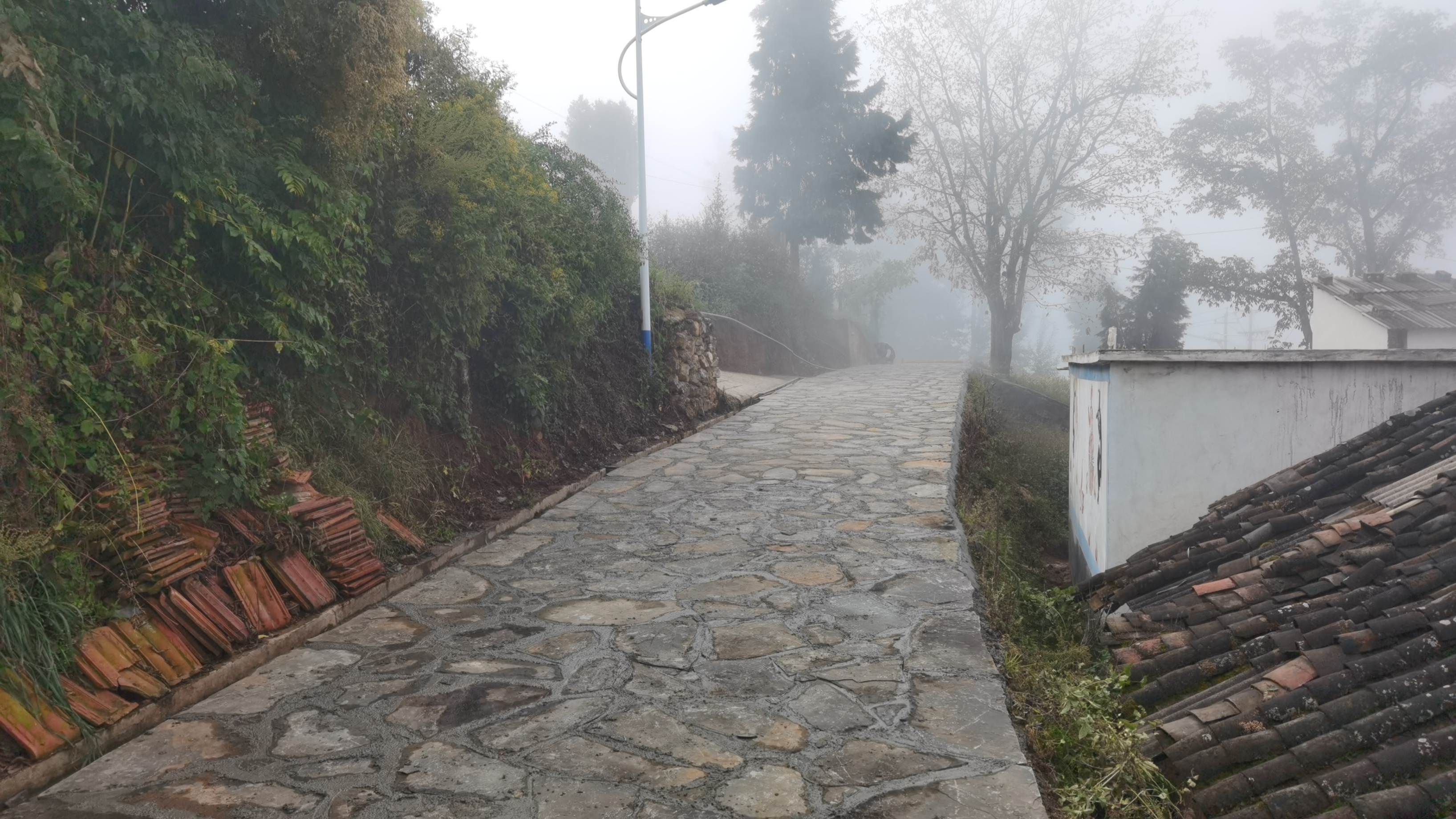 碧谷街道李子溝村、箐口村鄉(xiāng)村基礎(chǔ)設(shè)施建設(shè)項(xiàng)目