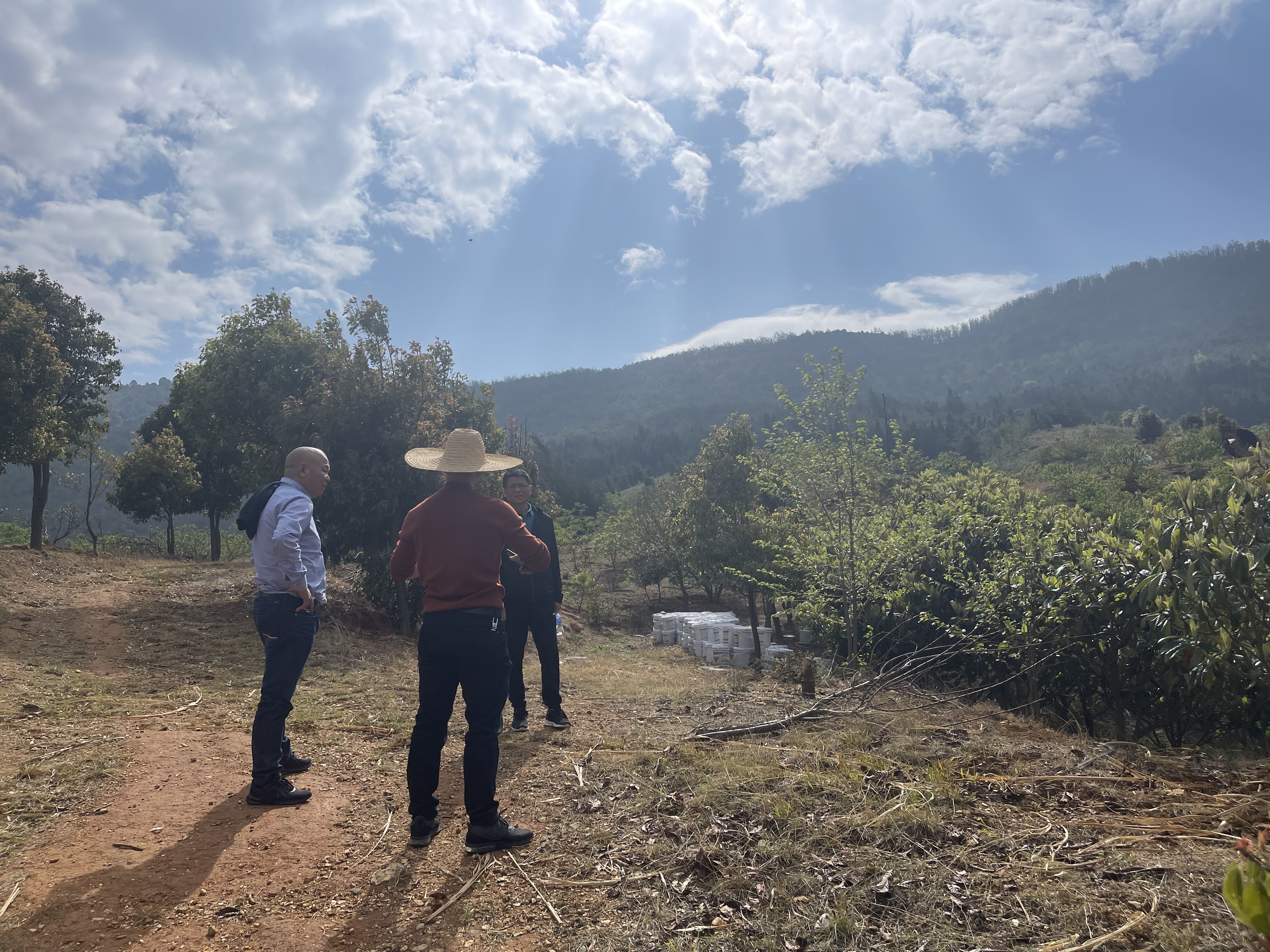 公司領(lǐng)導(dǎo)對大石莊林地檢查指導(dǎo)工作