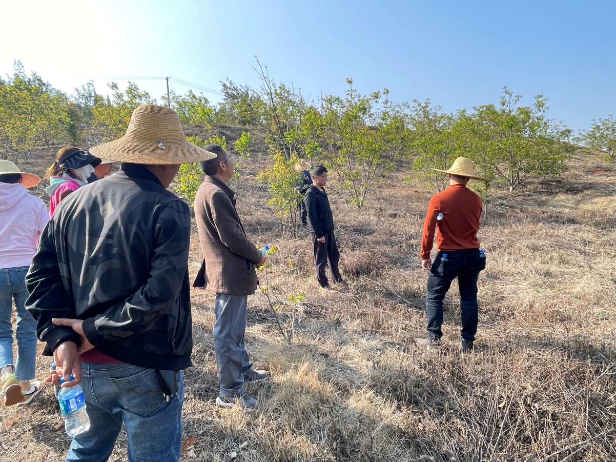 公司領(lǐng)導及各監(jiān)理部負責人對大石莊林地進行勘察調(diào)研