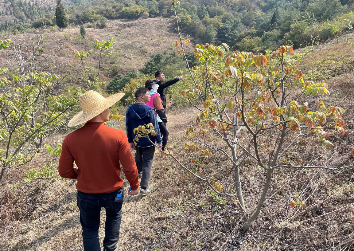 公司領(lǐng)導及各監(jiān)理部負責人對大石莊林地進行勘察調(diào)研