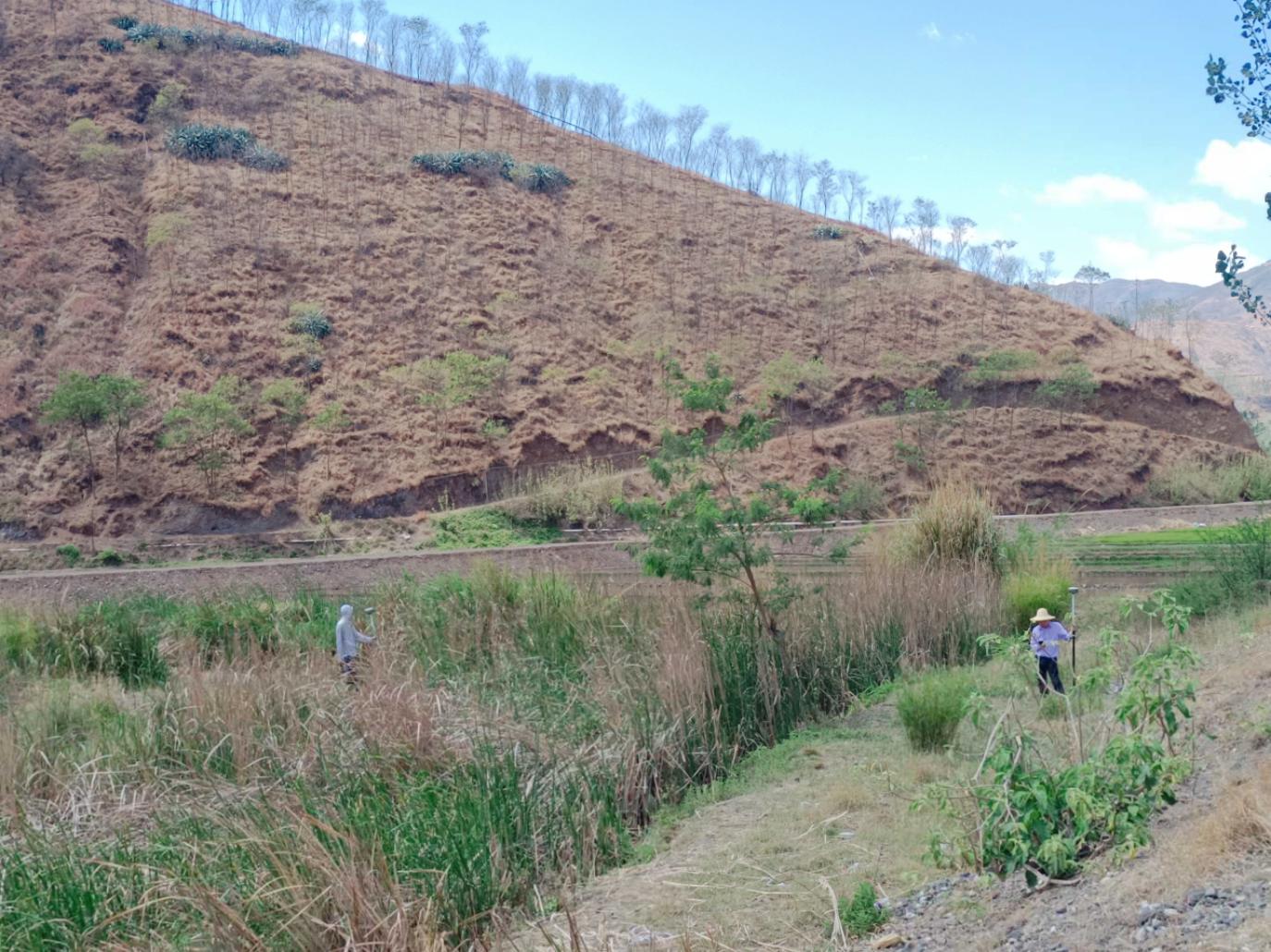 銅都街道農(nóng)業(yè)產(chǎn)業(yè)園建設項目EPC總承包