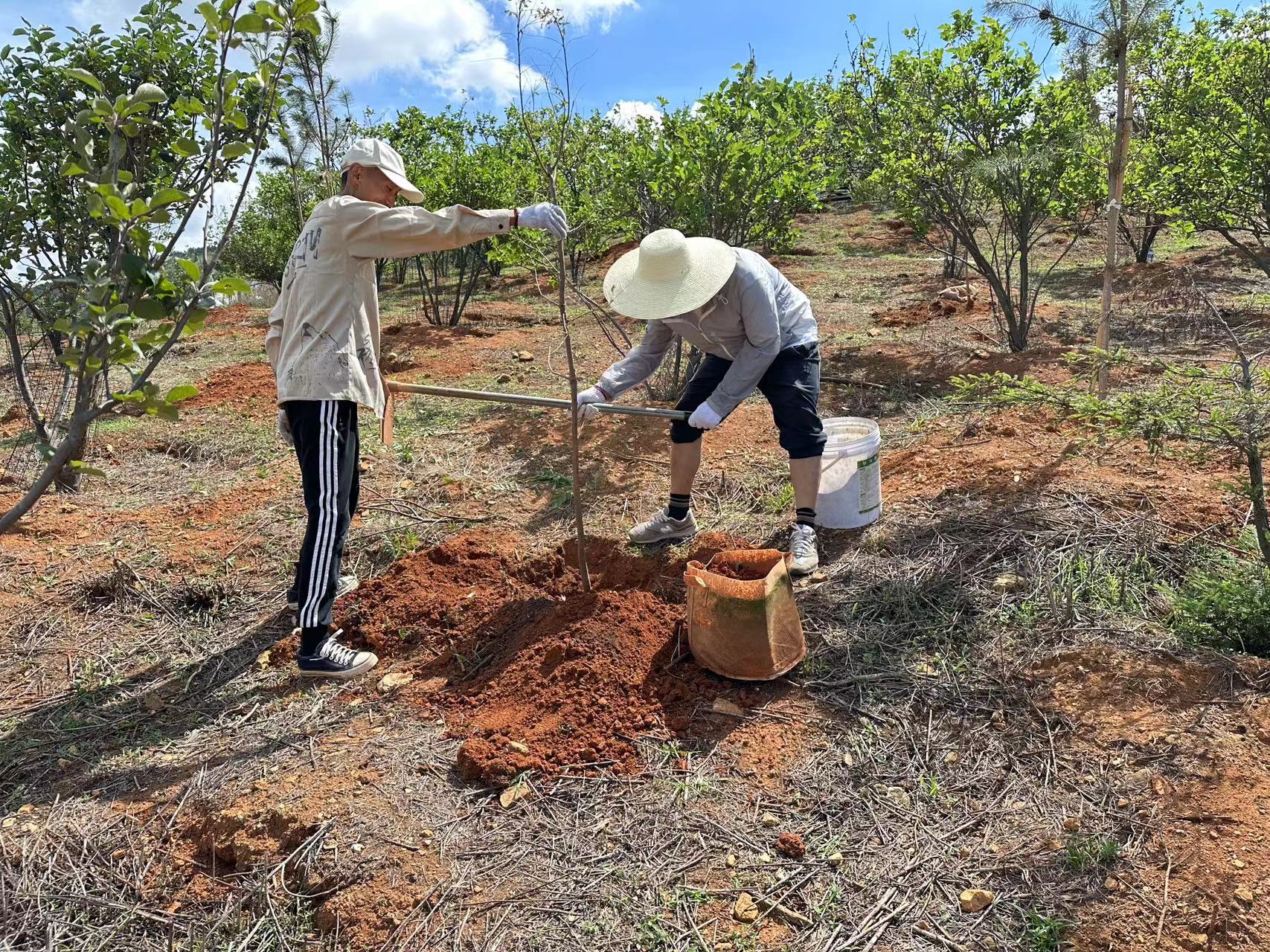 心植希望 播種綠色 ——盛翔監(jiān)理開展戶外活動(dòng)暨慶祝建黨102周年