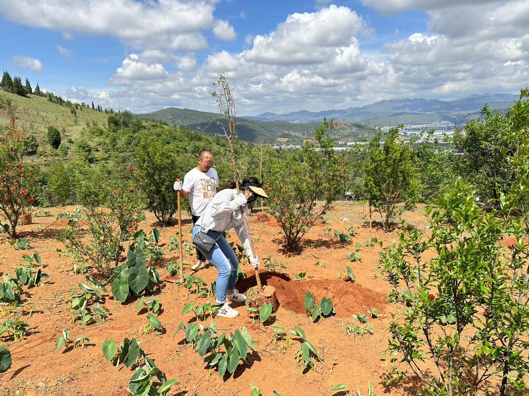 心植希望 播種綠色 ——盛翔監(jiān)理開展戶外活動(dòng)暨慶祝建黨102周年