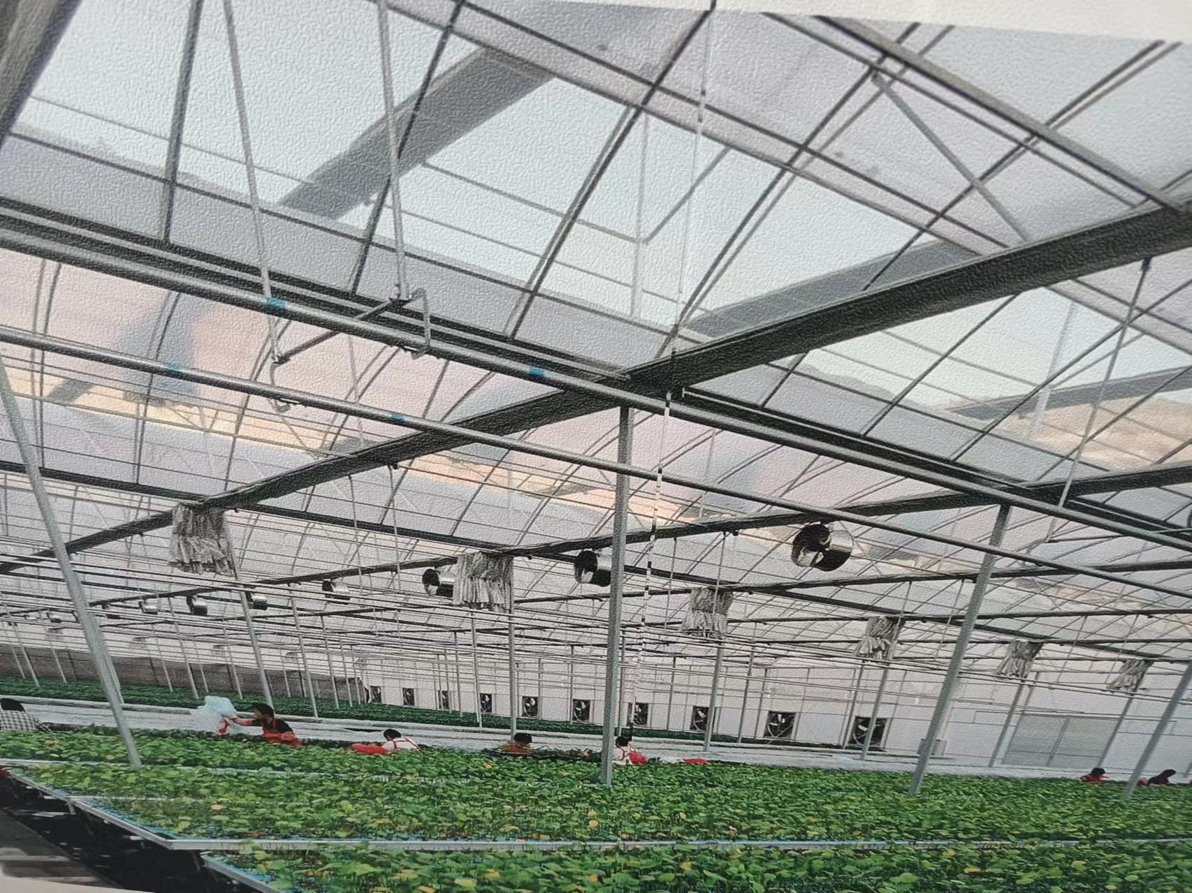 銅都街道炎山、深溝社區(qū)果蔬產(chǎn)業(yè)園建設(shè)項(xiàng)目