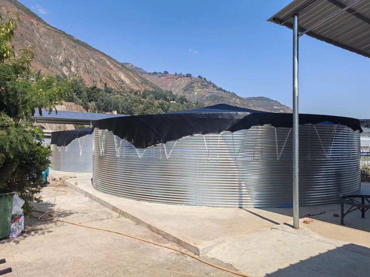 東川區(qū)現(xiàn)代農(nóng)業(yè)產(chǎn)業(yè)園(孵化基地)二期項(xiàng)目